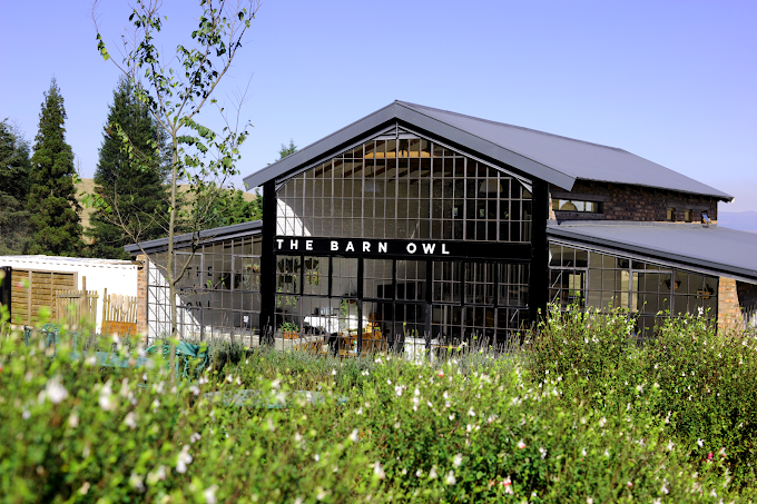 The Barn Owl Midlands.